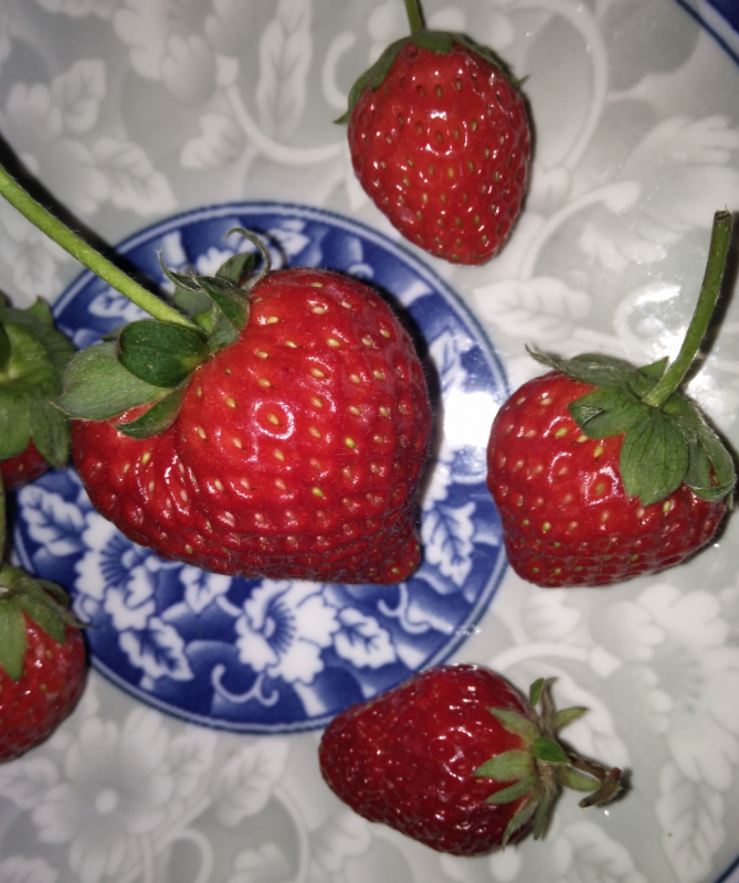 ��*O_20260521_164413.png