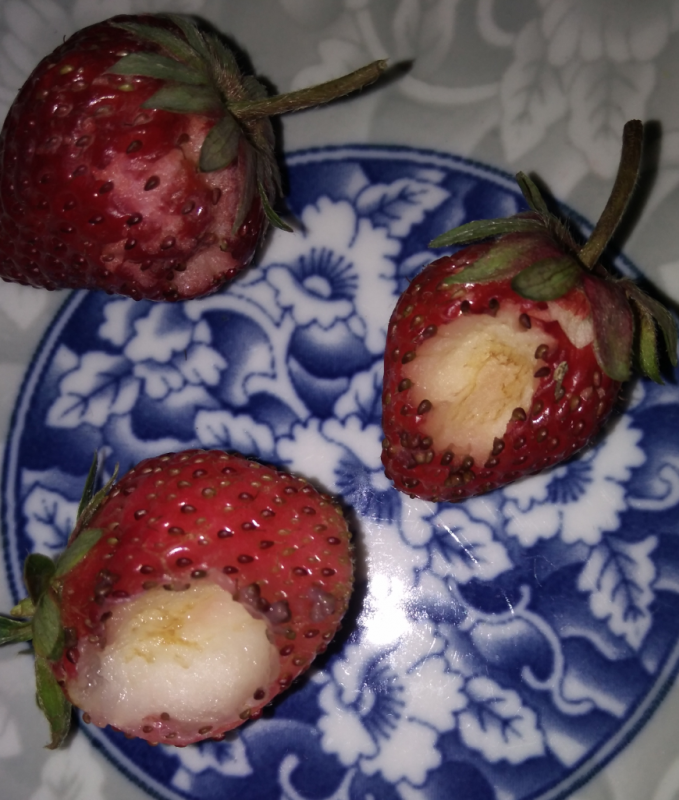 ��*O_20260521_164435.png