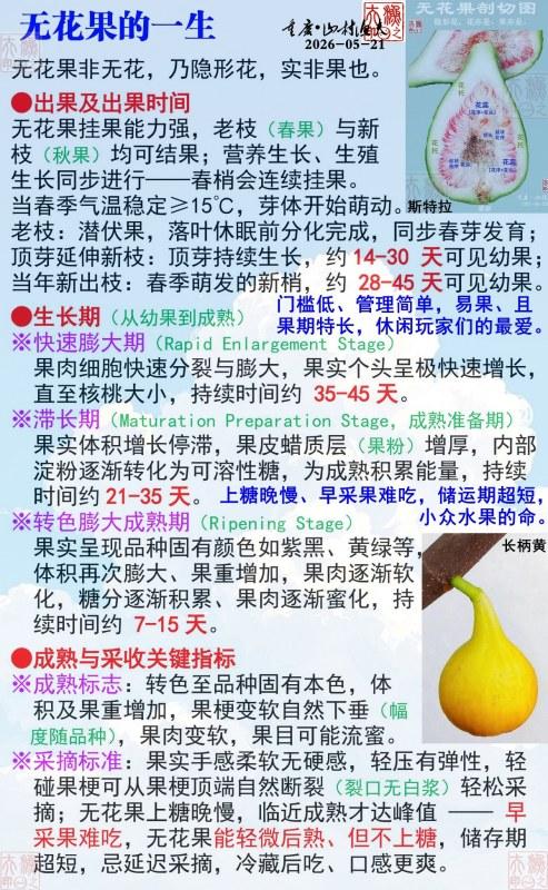 �޻�����һ��.jpg