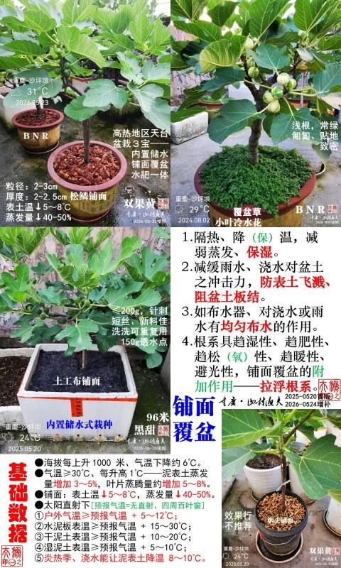 ���桢���裨2026�棩.jpg