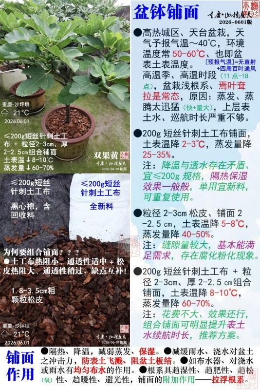 �貧���棨2026-0601��.jpg
