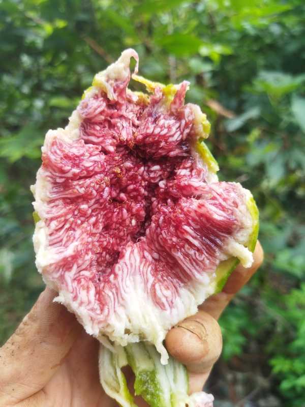 IMG_20260604_163655.jpg