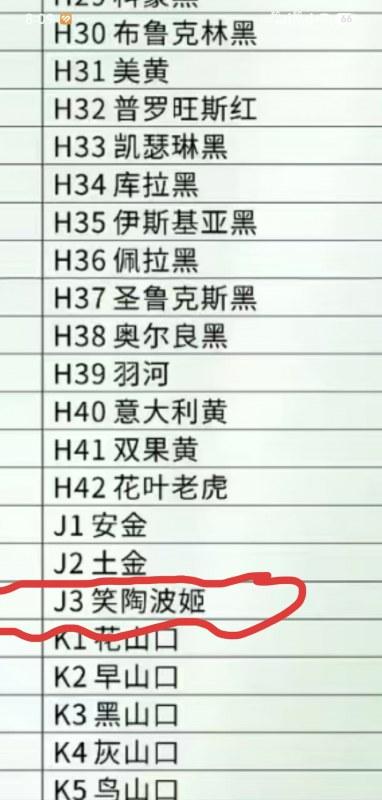 1000293119.jpg