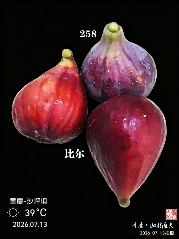 IMG_20260713_180340.png