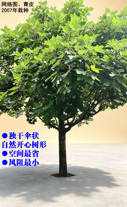 IMG_20260724_085254.png