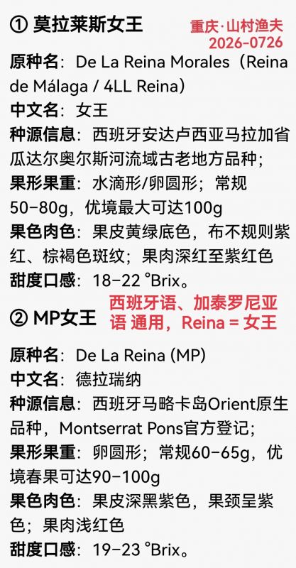 0726-1Ī����˹Ů������������.png