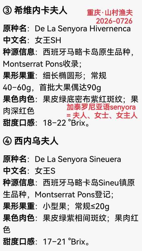 0726-2Ů��SH��Ů��S.png