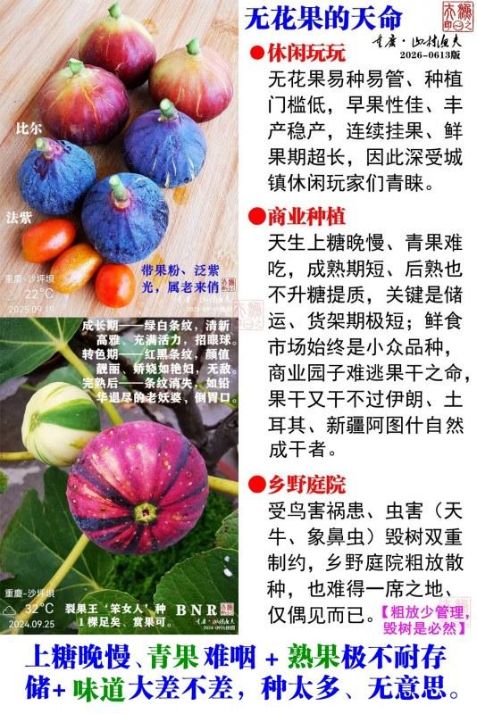 �޻���������-G.jpg