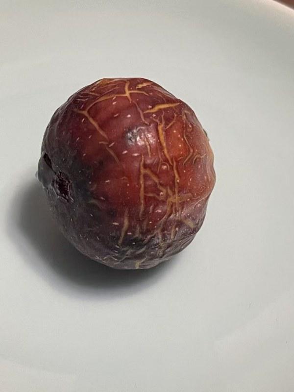 2025-7-28����1.jpg
