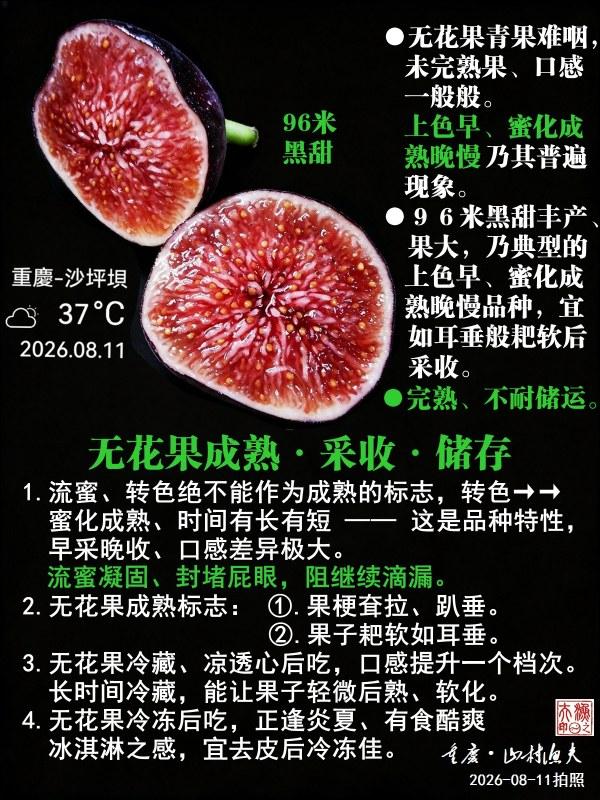 �޻������졤���ա�����.jpg