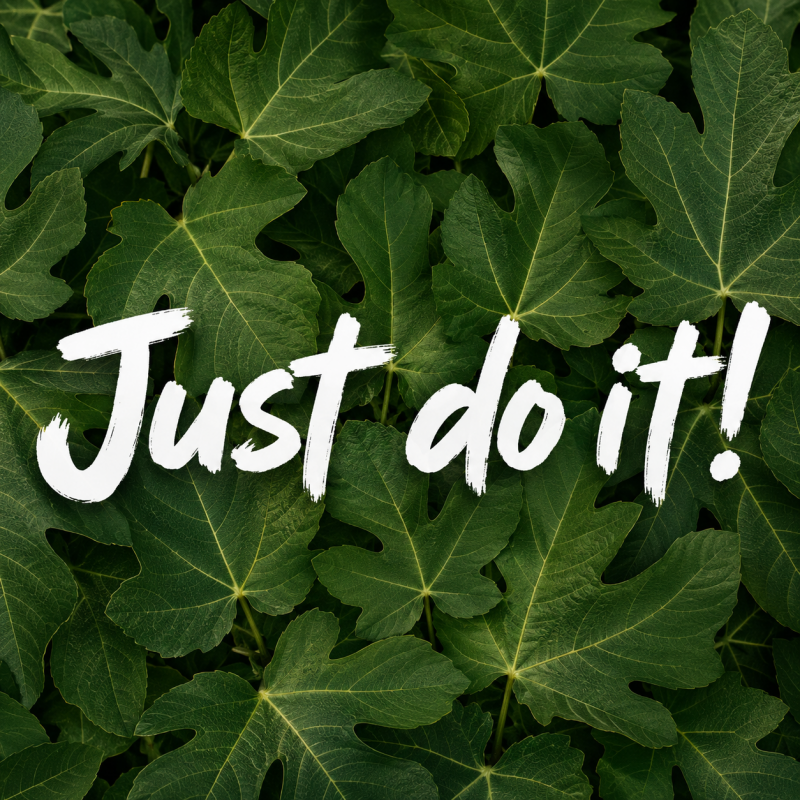just_do_it.png