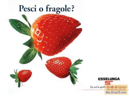212406_360359431_OlIYF.jpg