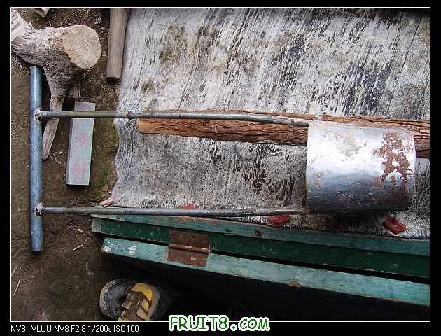 SNV82196.jpg