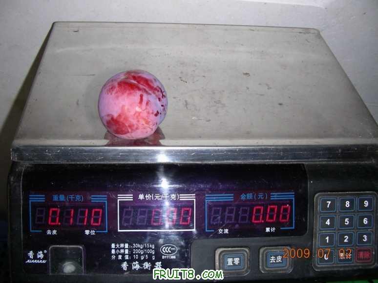 DSCN7486.JPG