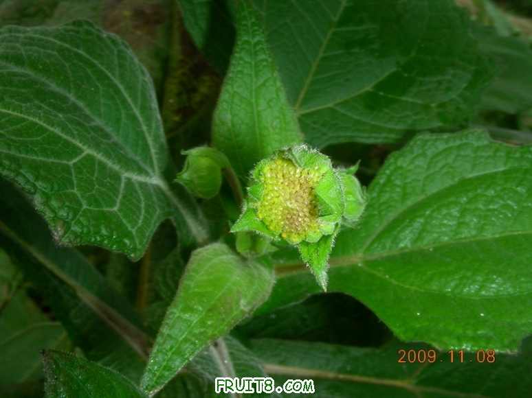 DSCN2389.JPG