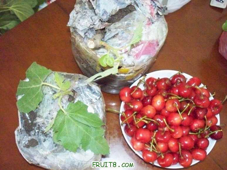 100_2690.JPG