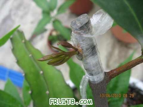 IMG_2561_copy.jpg