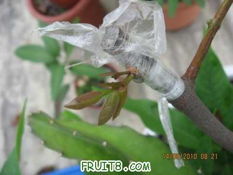 IMG_2585_copy.jpg