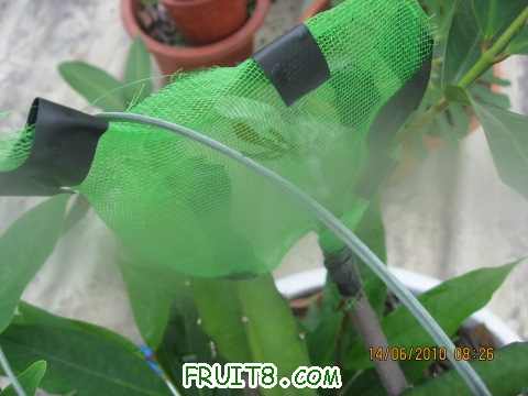 IMG_2588_copy.jpg