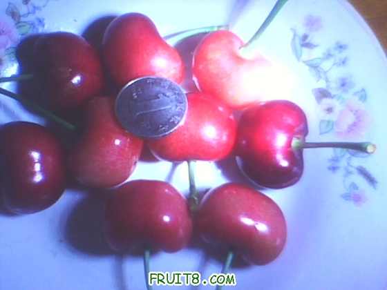 IMG0251A.jpg