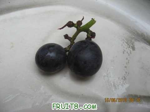 IMG_2624_copy.jpg