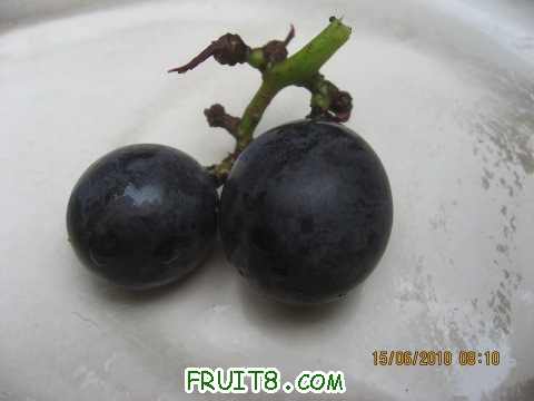 IMG_2625_copy.jpg