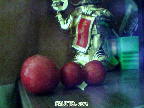 ͼƬ 075.jpg