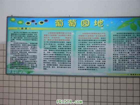 DSCN0498.jpg