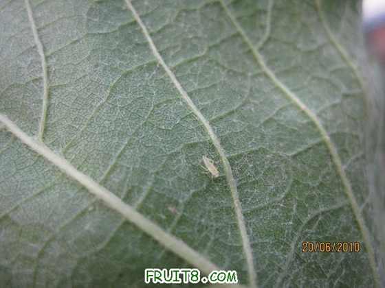 ֻҪҶƬ�л��㣬һ׼������ЩС���ӡ���