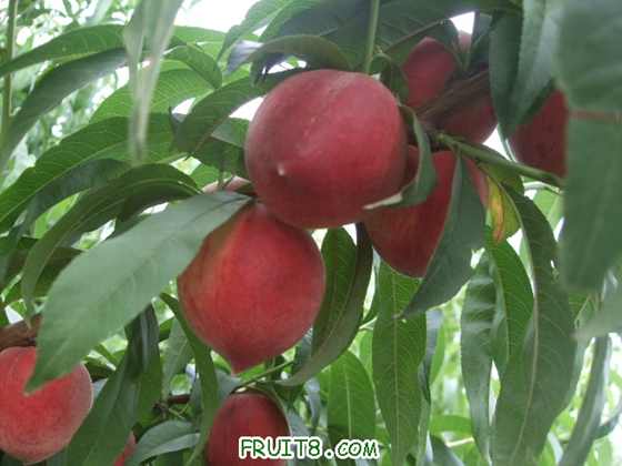 6��21�ռ������������� 002.jpg