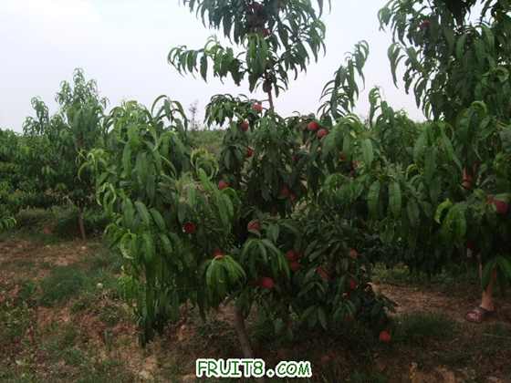 6��21�ռ������������� 006.jpg