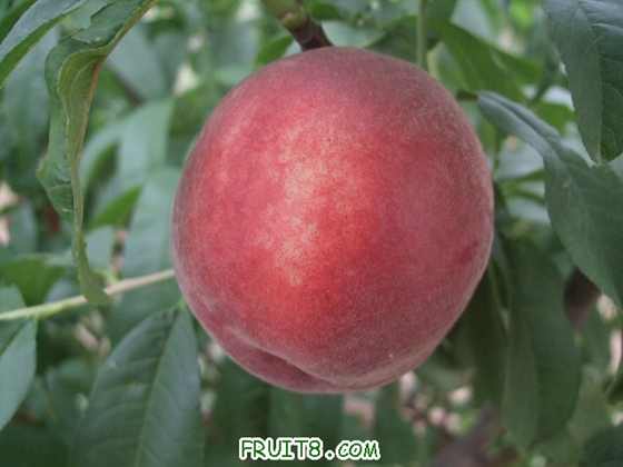 6��21�ռ������������� 003.jpg