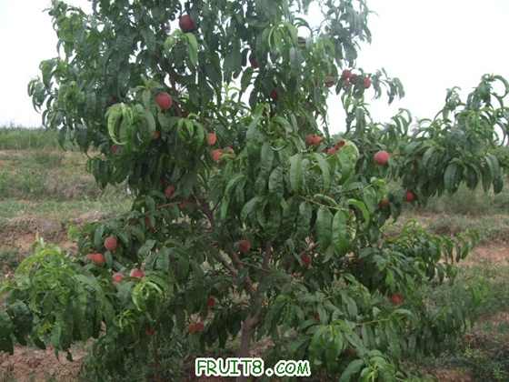 6��21�ռ������������� 005.jpg