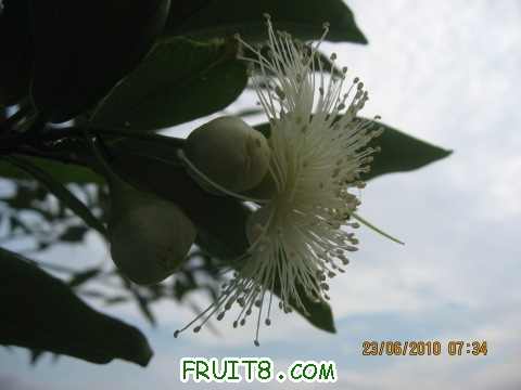 IMG_2857_copy.jpg