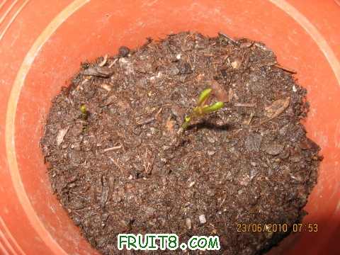 IMG_2877_copy.jpg