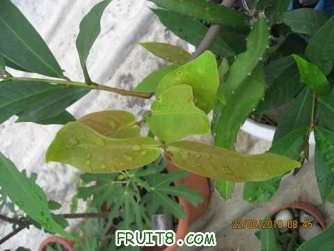 IMG_2826_copy.jpg