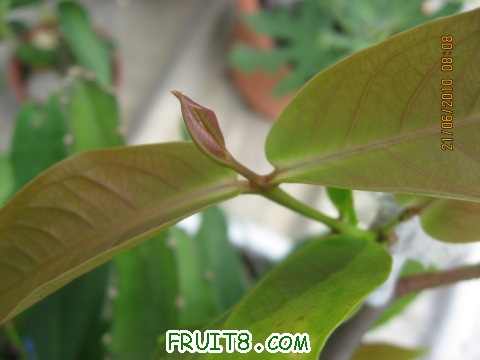 IMG_2783_copy.jpg