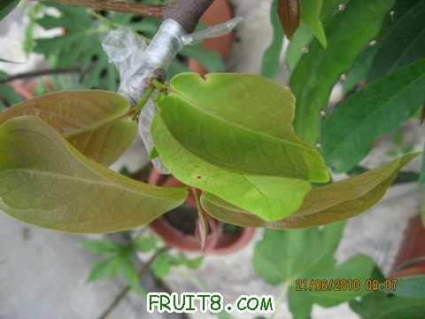 IMG_2780_copy.jpg
