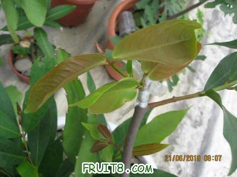 IMG_2778_copy.jpg