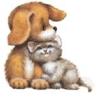 u=1804799316,3287864111&fm=0&gp=0.jpg