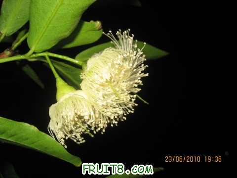 IMG_2891_copy.jpg