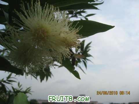 IMG_2899_copy.jpg
