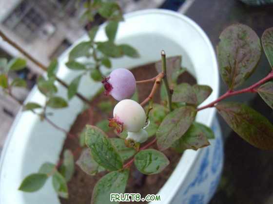 DSCN0005.JPG