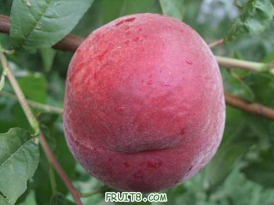 6��27 ����Ʒ�� 011.jpg