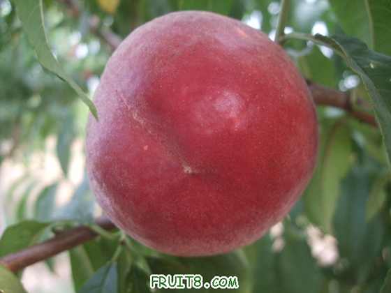 6��27 ����Ʒ�� 016.jpg