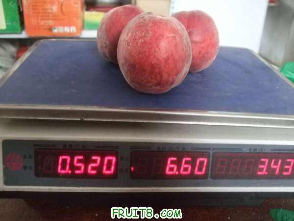 6��29 ����Ʒ�� 050.jpg