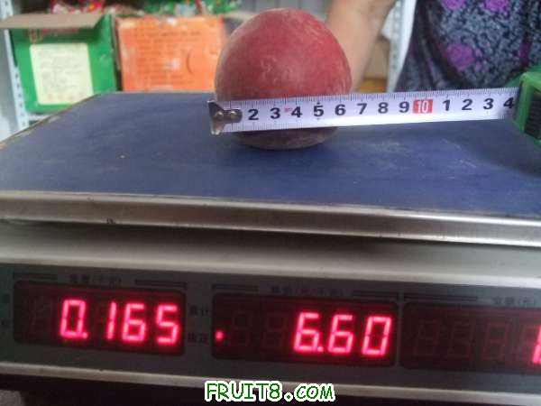 6��29 ����Ʒ�� 056.jpg