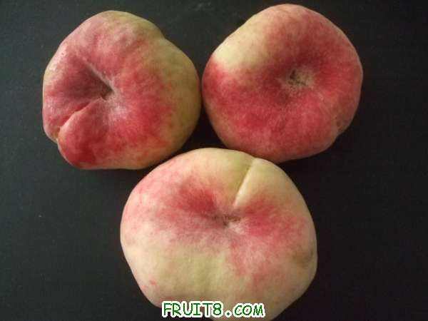 6��27 ����Ʒ�� 041.jpg