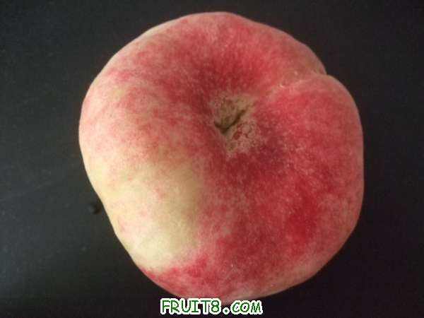 6��27 ����Ʒ�� 038.jpg