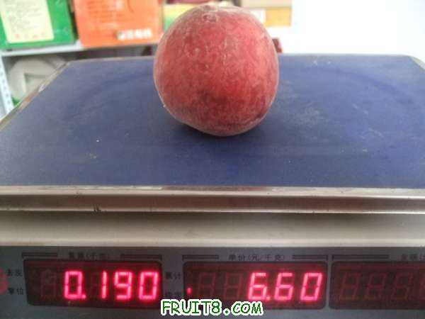 6��29 ����Ʒ�� 053.jpg